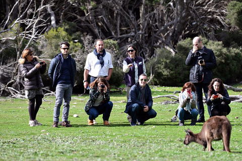 Small-Group Kangaroo Island 4WD Tour From Adelaide - Pubs Adelaide 2