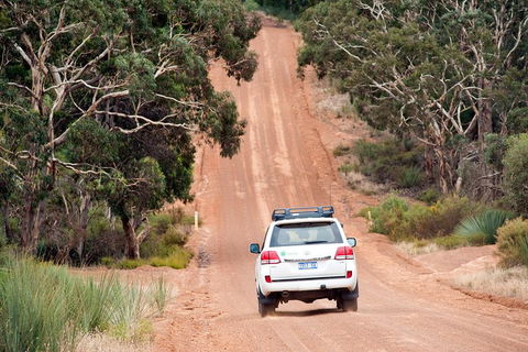 Small-Group Kangaroo Island 4WD Tour From Adelaide - Pubs Adelaide 3