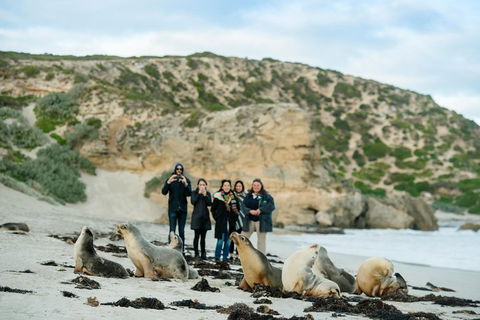 Small-Group Kangaroo Island 4WD Tour From Adelaide - Pubs Adelaide 4