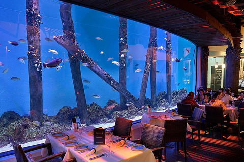 Cairns Aquarium And Small Group City Sightseeing Tour - Pubs Adelaide 4