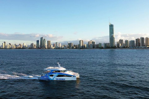 Whale Watching By Sea World Cruises - Pubs Adelaide 1