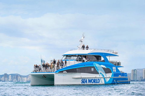 Whale Watching By Sea World Cruises - Pubs Adelaide 3