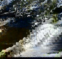 Cradle Mountain Day Tour from Launceston Including Lunch - Pubs Adelaide