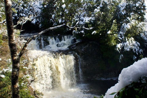 Cradle Mountain Park Explorer Guided Tour - Pubs Adelaide 4