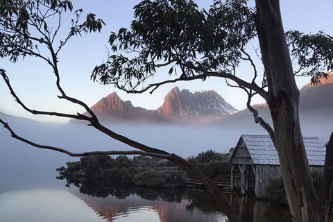 Cradle Mountain Park Explorer Guided Tour - Pubs Adelaide 5