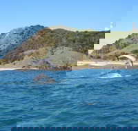Kayaking with Dolphins in Byron Bay Guided Tour - Pubs Adelaide
