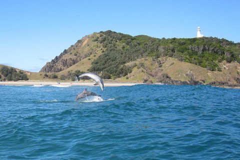 Kayaking With Dolphins In Byron Bay Guided Tour - Pubs Adelaide 0