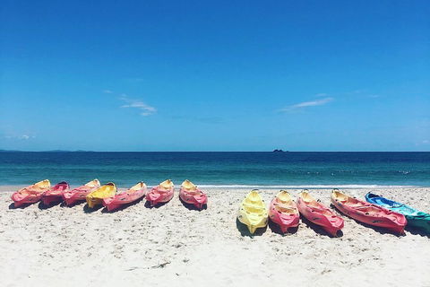 Kayaking With Dolphins In Byron Bay Guided Tour - Pubs Adelaide 1