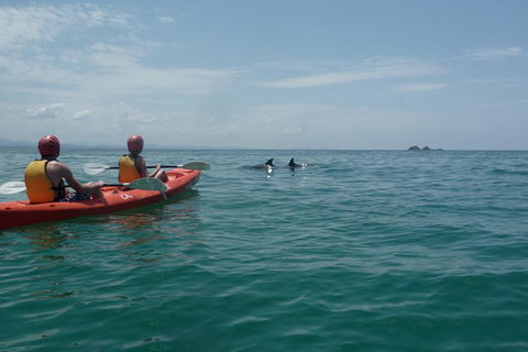 Kayaking With Dolphins In Byron Bay Guided Tour - Pubs Adelaide 4