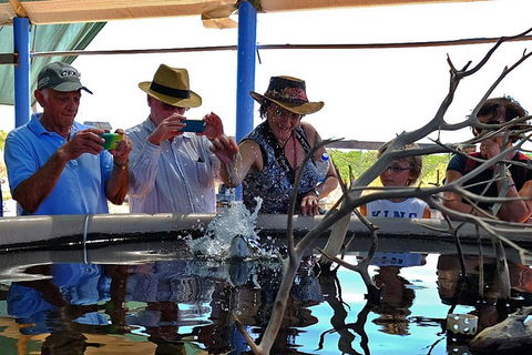 Cape Leveque 4WD Tour From Broome With Optional Return Flight - Pubs Adelaide 0