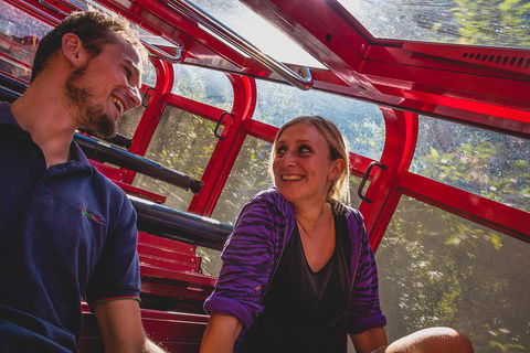 Blue Mountains Hop-on Hop-off Tour With Optional Scenic World Rides - Pubs Adelaide 5