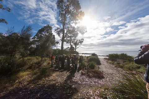 Bruny Island Day Tour, Includes Lunch And Exclusive Lighthouse Tour - Pubs Adelaide 5