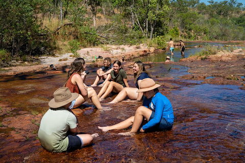 Litchfield National Park Waterfalls And Wildlife Tour From Darwin - Pubs Adelaide 1