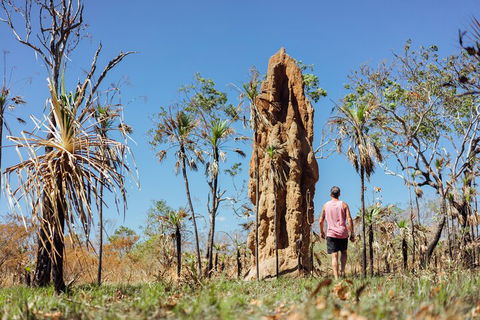 Litchfield National Park Waterfalls And Wildlife Tour From Darwin - Pubs Adelaide 4