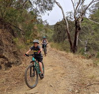 Mount Lofty Descent Bike Tour from Adelaide - Pubs Adelaide