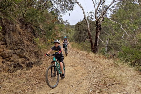 Mount Lofty Descent Bike Tour From Adelaide - Pubs Adelaide 0