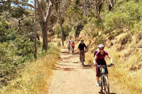 Mount Lofty Descent Bike Tour From Adelaide - Pubs Adelaide 3