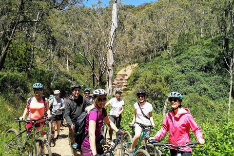 Mount Lofty Descent Bike Tour From Adelaide - Pubs Adelaide 5