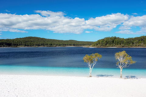 All-Inclusive Fraser Island Day Tour - Pubs Adelaide 3