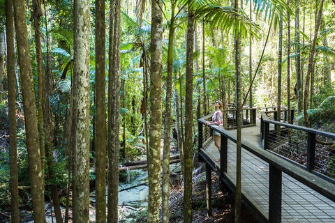 All-Inclusive Fraser Island Day Tour - Pubs Adelaide 5