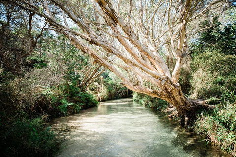 3-Day Fraser Island Resort Package - Pubs Adelaide 5