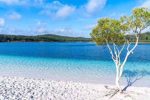 Lake McKenzie Full-Day Tour With Lunch From Hervey Bay - Pubs Adelaide 1