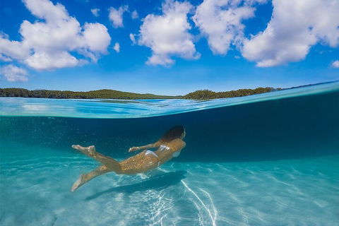 Lake McKenzie Full-Day Tour With Lunch From Hervey Bay - Pubs Adelaide 5