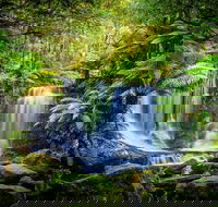Day Tour in Mt. Field Mt. Wellington Bonorong Wildlife Sanctuary and Richmond - Pubs Adelaide