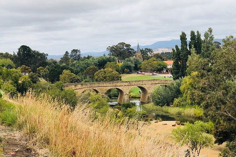 Day Tour In Mt. Field, Mt. Wellington, Bonorong Wildlife Sanctuary And Richmond - Pubs Adelaide 3