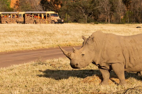 Sunset Safari At Werribee Open Range Zoo - Pubs Adelaide 1