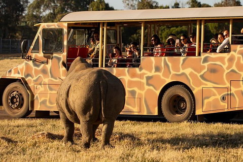 Sunset Safari At Werribee Open Range Zoo - Pubs Adelaide 5