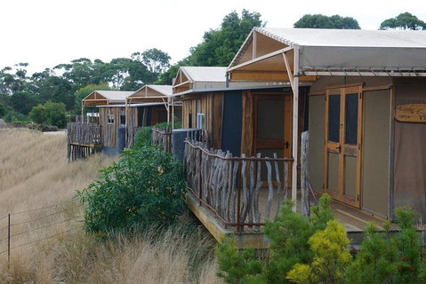 Slumber Safari At Werribee Open Range Zoo - Pubs Adelaide 4