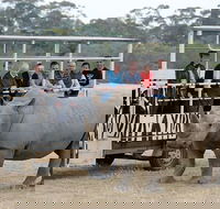 Off-Road Safari at Werribee Open Range Zoo - Pubs Adelaide