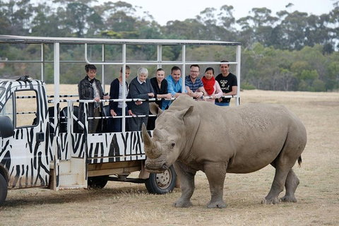Off-Road Safari At Werribee Open Range Zoo - Pubs Adelaide 0