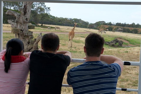 Off-Road Safari At Werribee Open Range Zoo - Pubs Adelaide 4