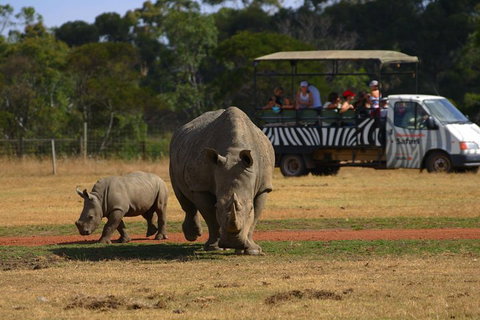 Off-Road Safari At Werribee Open Range Zoo - Pubs Adelaide 5