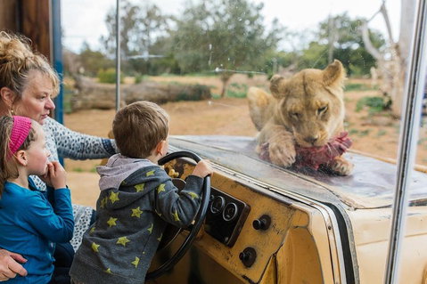 Werribee Open Range Zoo General Admission Ticket - Pubs Adelaide 4