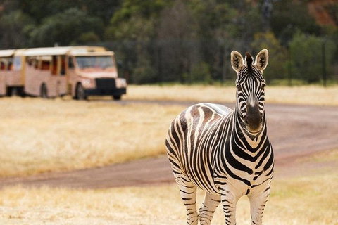 Werribee Open Range Zoo General Admission Ticket - Pubs Adelaide 5