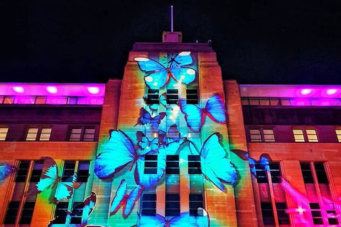 Vivid 90-Minute Sydney Harbour Small Group Catamaran Cruise - Pubs Adelaide 0