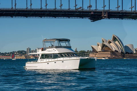Vivid 90-Minute Sydney Harbour Small Group Catamaran Cruise - Pubs Adelaide 2