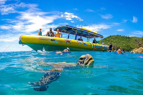 Great Barrier Reef Scenic Flight And Ocean Rafting Whitehaven Beach Day Trip - Pubs Adelaide 1