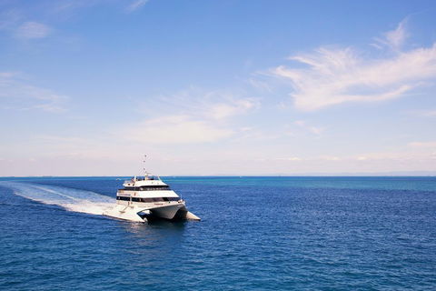 Tangalooma Island Resort Whale Watching Day Cruise - Pubs Adelaide 5