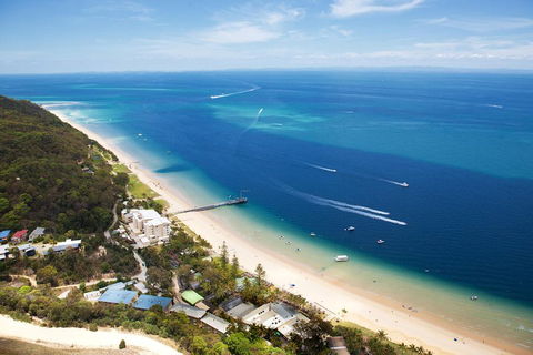 Tangalooma Island Resort Whale Watching Day Cruise With Dolphin Feeding - Pubs Adelaide 2