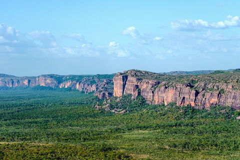 Jabiru 60 Minute Scenic Flight - Pubs Adelaide 4