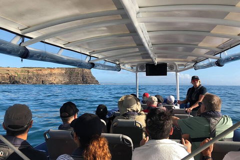 Julian Rocks Byron Bay Cruise - Pubs Adelaide 4
