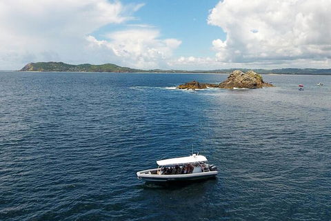 Julian Rocks Byron Bay Cruise - Pubs Adelaide 5