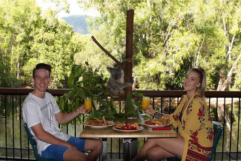 Hartley's Crocodile Adventures Breakfast With The Koalas - Pubs Adelaide 5
