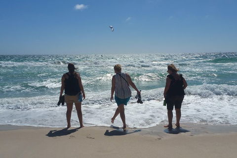 Very Best Of Perth Tour - Wildlife Park & City Highlights Tour - Pubs Adelaide 5