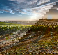 Perth to Margaret River Wine Tour - 2 Day Premium Boutique Wine Tour Experience - Pubs Adelaide