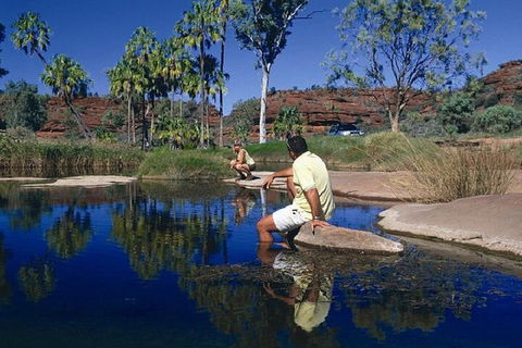 Palm Valley 4WD Day Tour - Pubs Adelaide 1